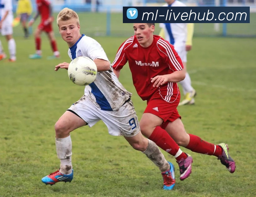 App功能展示图
